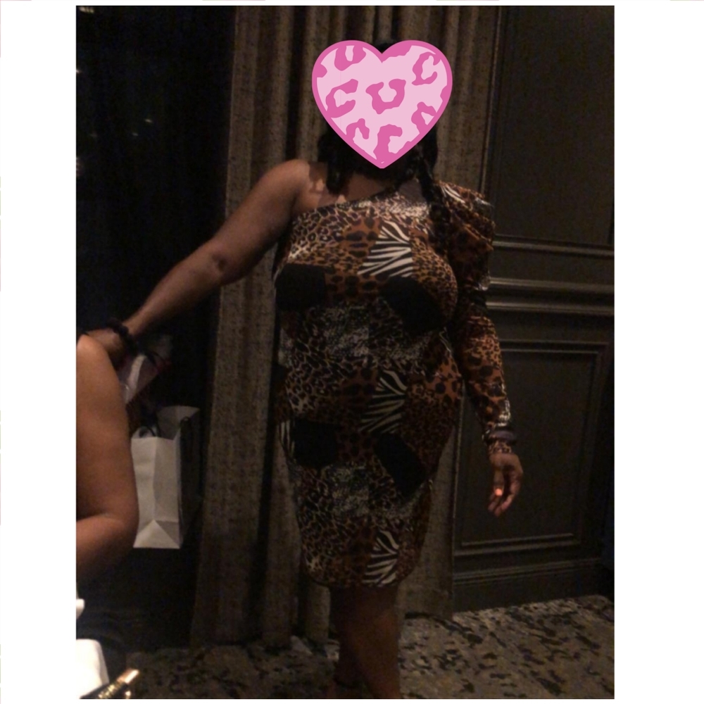 Sheer animal print dress